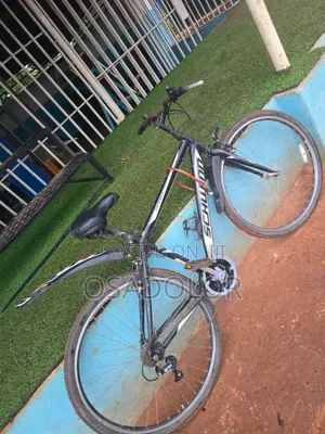 Bicycle for Sale Used