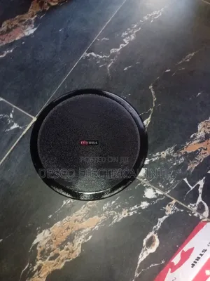 Ceiling Speaker