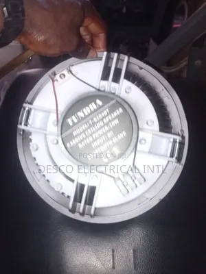 Ceiling Speaker
