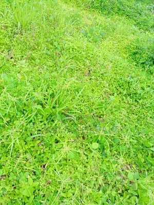 100 Hectares Housing Estate Land Along Kubwa Deidei Expressway