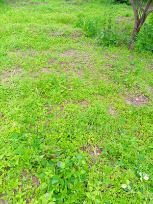 1,500sqm Residential Land at Mpape