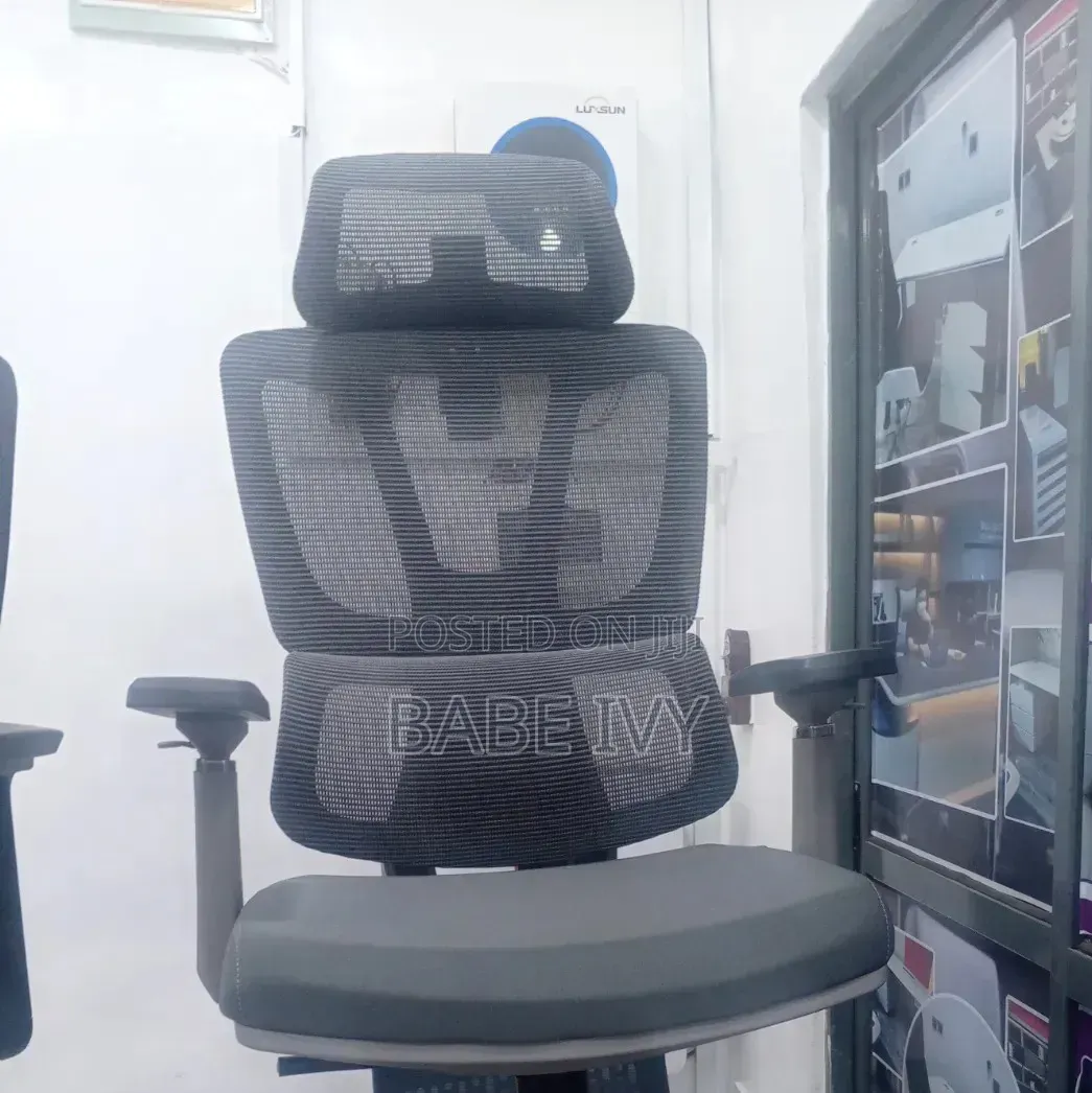 Ergonomic Chair