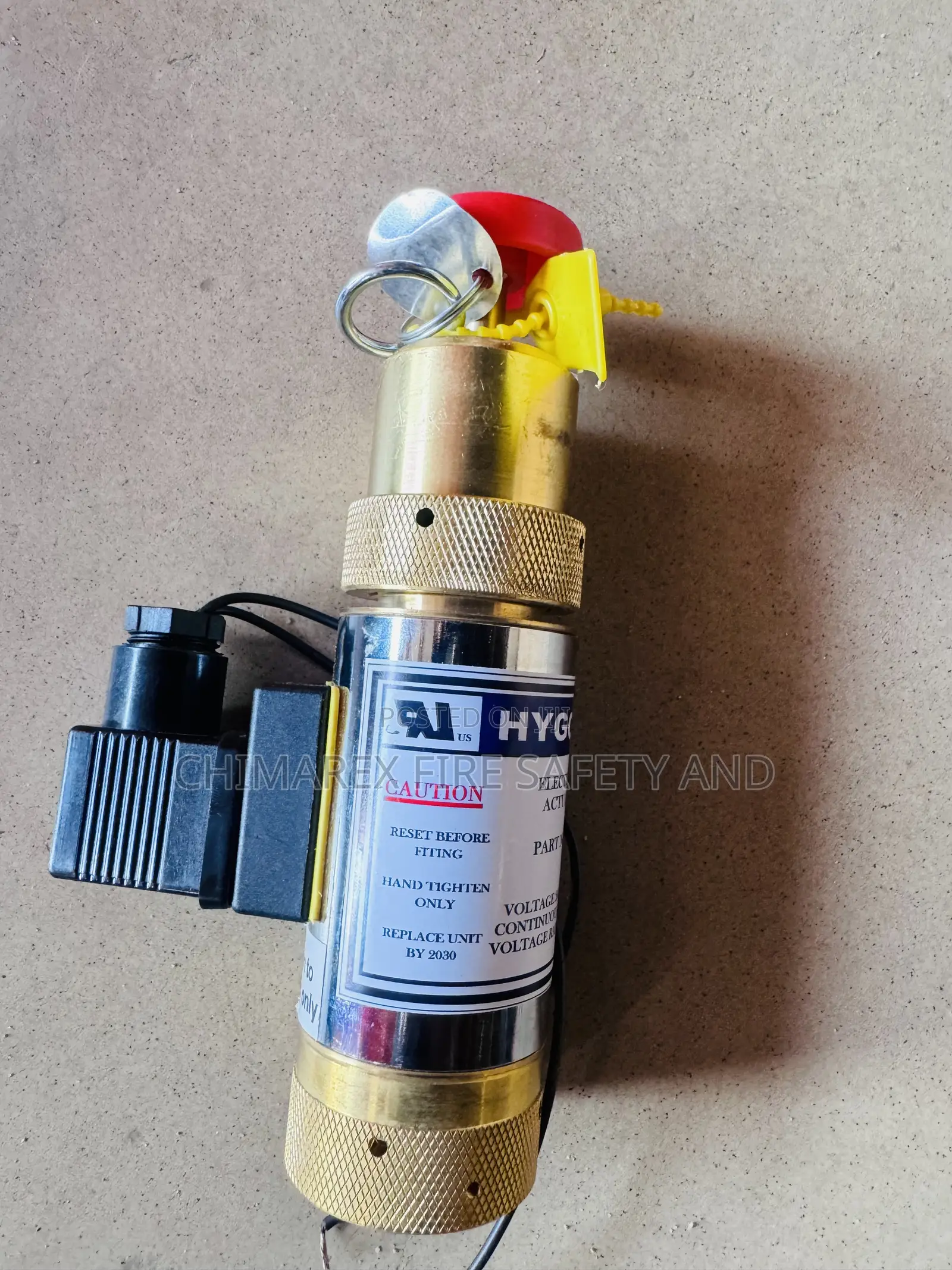 Electric And Manual Actuator