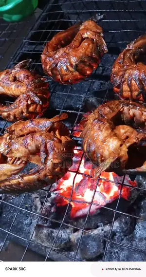 Grillcatfish