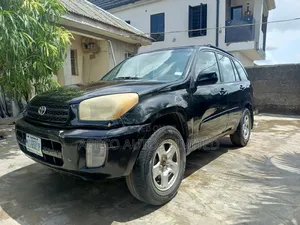 Toyota RAV4 2004 Gray