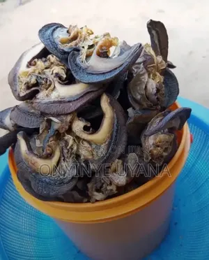Live Snails