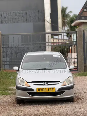 Peugeot 307 2007 Silver