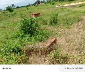 One Plot of Land
