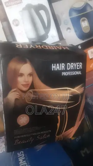 Professional Electric Hair Dryer (Beauty Salon Grade With Accessories)