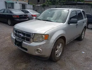 Ford Escape XLT 2010 Silver