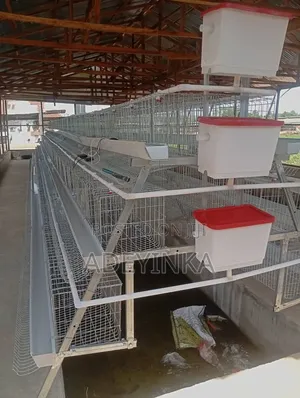 Local Fabricated Layers Cage Available