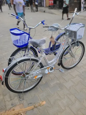 Luxury Standard Bicycle