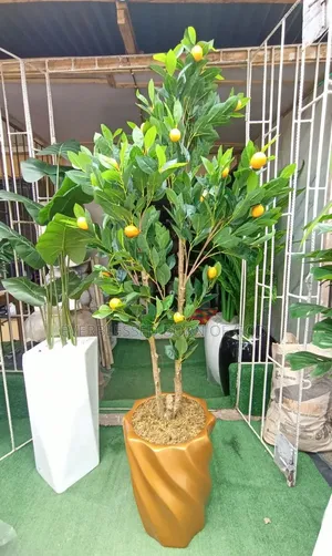 Natural Looking Orange Fruit Plant and Twist Pot, 6ft