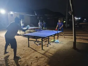 Waterproof American Standard Table Tennis Board