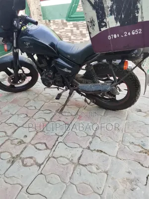 Denstar Lion King 2022 Black