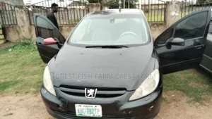 Peugeot 307 2008 Black