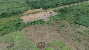 Invest Where Development Is Moving Next