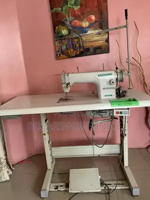 Industrial Sewing Machine