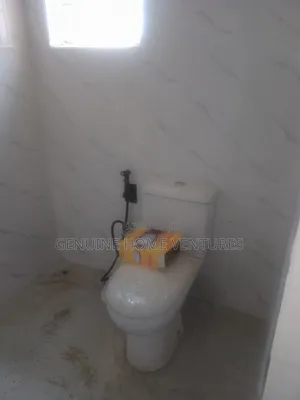 Mini Flat in Agric for rent