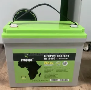 100ah 12.8v Iwin Lifepo4 Lithium Battery