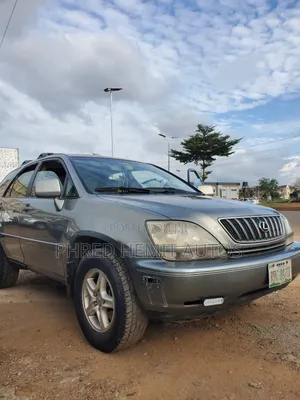Lexus RX 2002 Gray