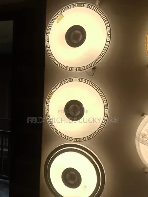 Cieling Fitting Light Led