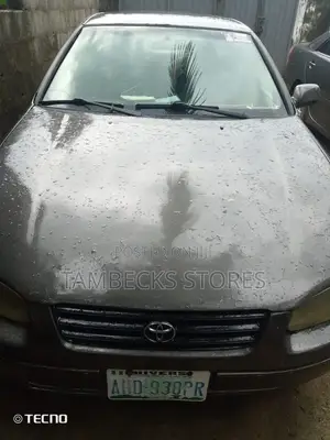 Toyota Camry 2002 Brown