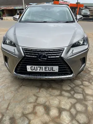 Lexus NX 2021 Beige