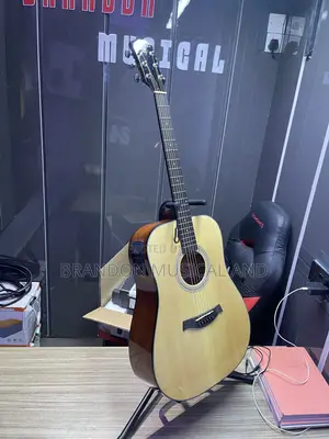 Semi Acoustic Guitar