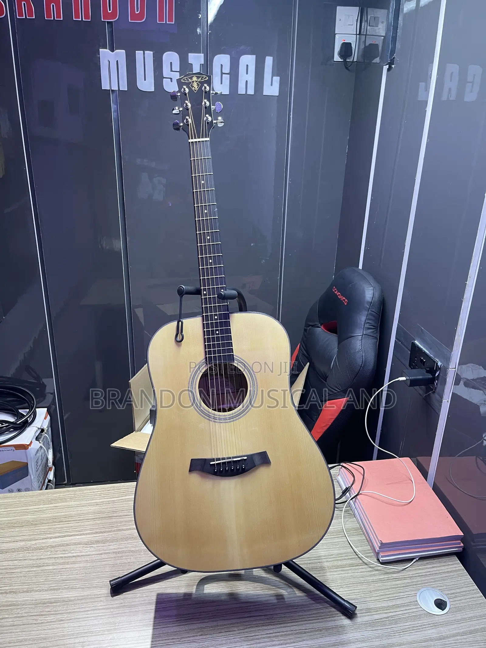 Semi Acoustic Guitar