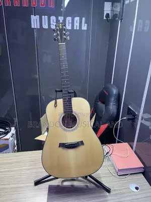 Semi Acoustic Guitar