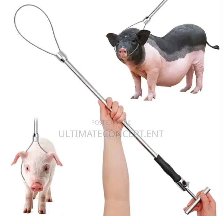 Stainless Animal Catcher