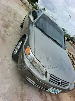 Toyota Camry 2002 Gray