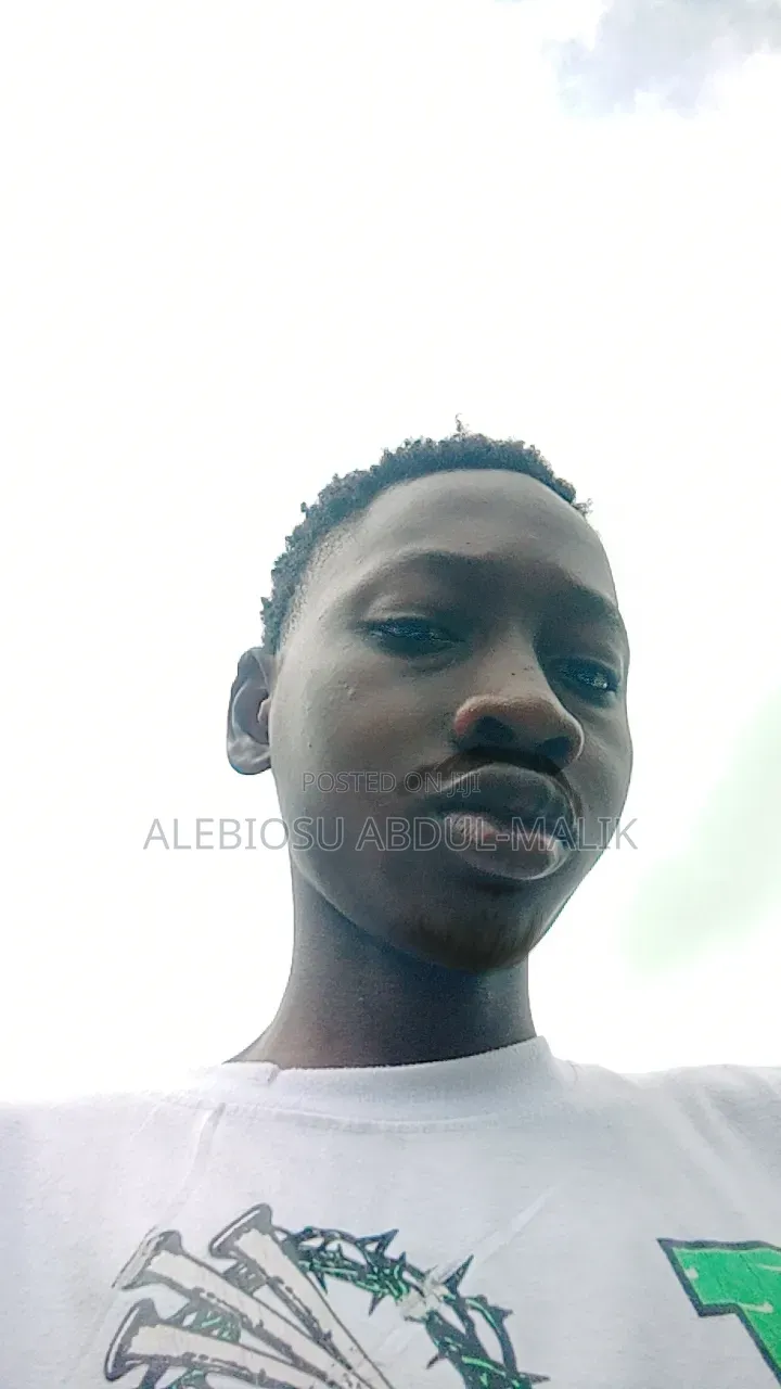 Alebiosu Abdul-Malik Cv