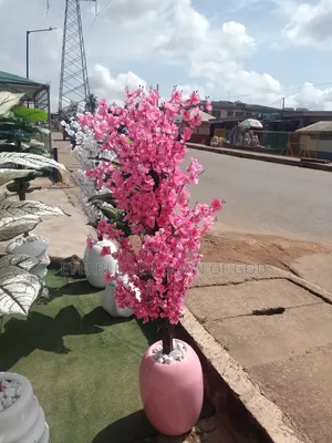 Plants and Flowers for Environmental Beauty