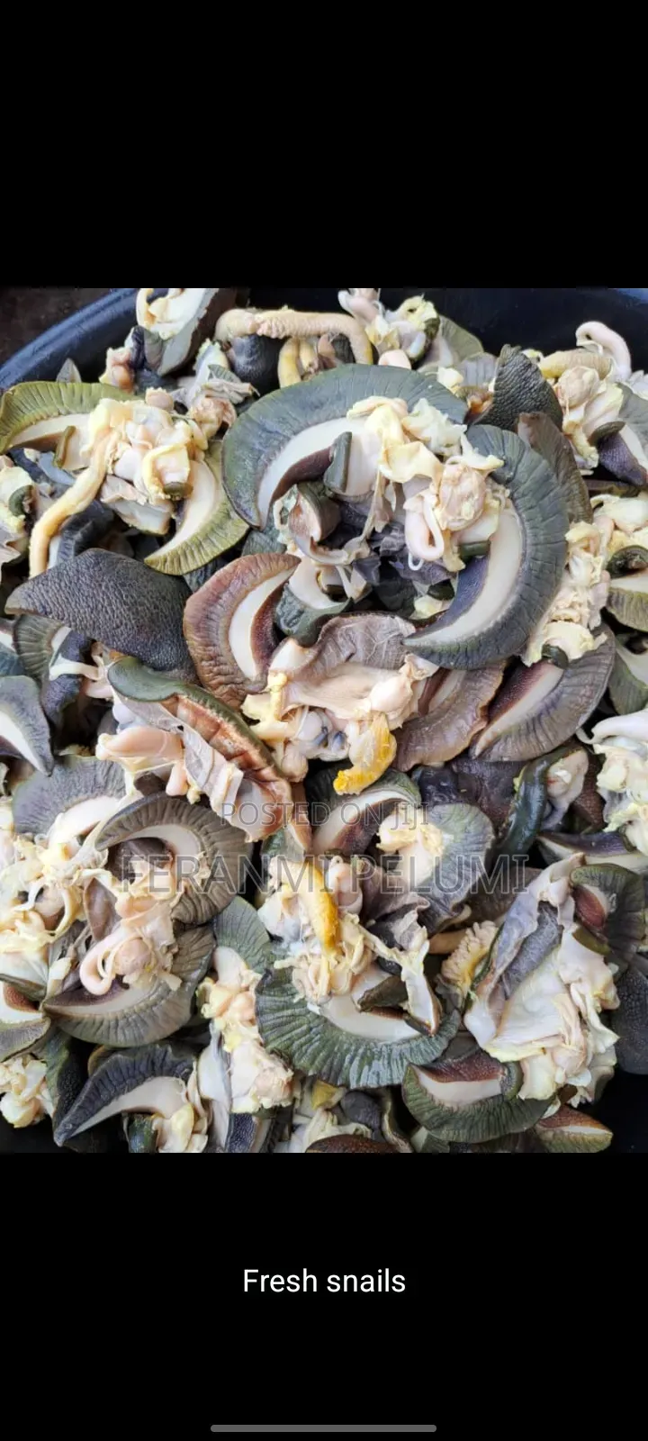 Dry Snail and Fresh Snail