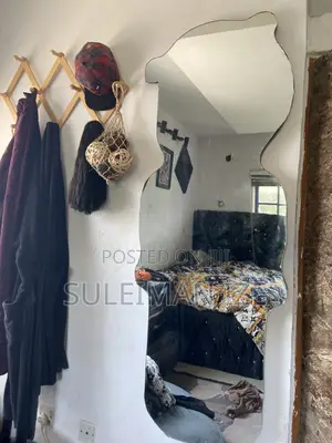 Standing/ Wall Mirrors