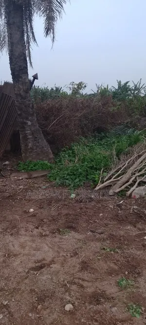 A Plot of Land
