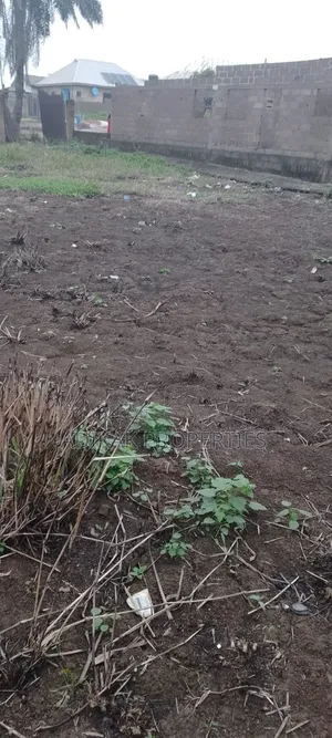 A Plot of Land
