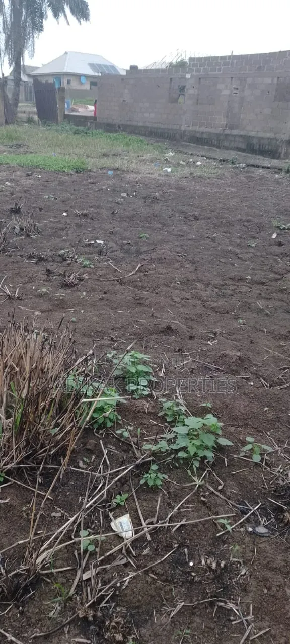 A Plot of Land