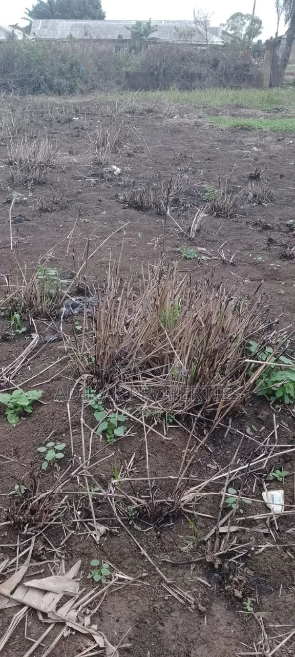 A Plot of Land