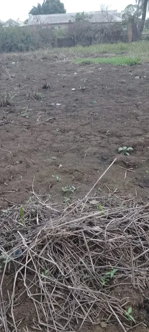 A Plot of Land