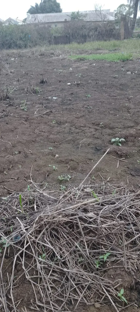 A Plot of Land