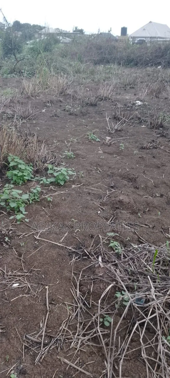 A Plot of Land