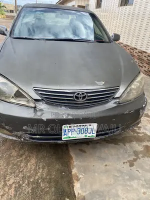 Toyota Camry 2004 Brown