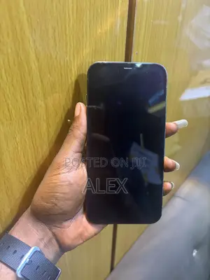 Apple iPhone 12 Pro Max 128 GB Gray