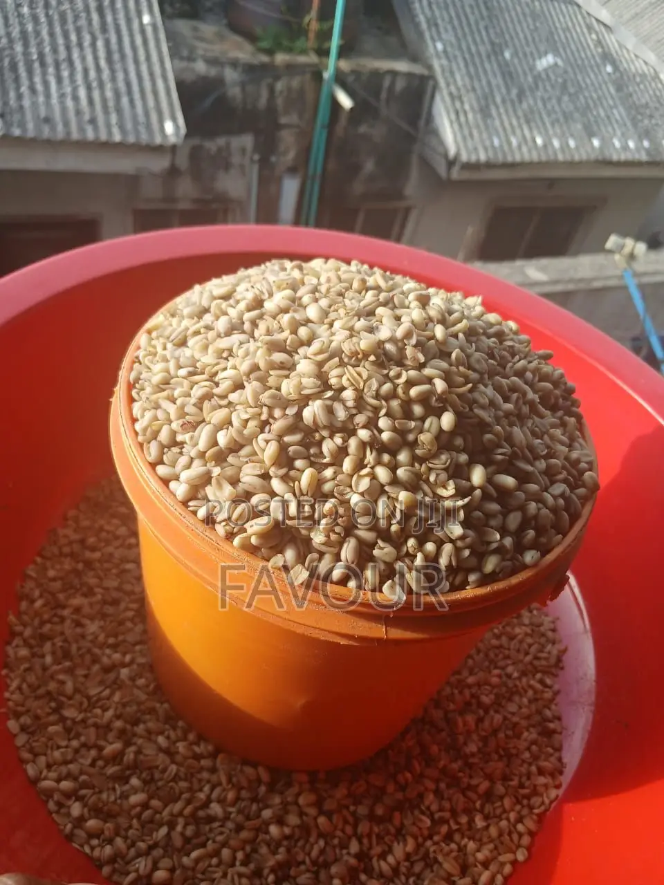 Dried Ukwa (Breadfruit