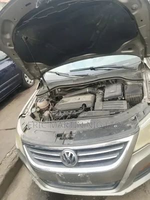 Volkswagen Passat 2010 Gray