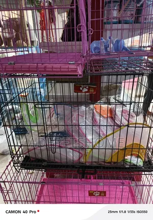 Dog Cages Are Available