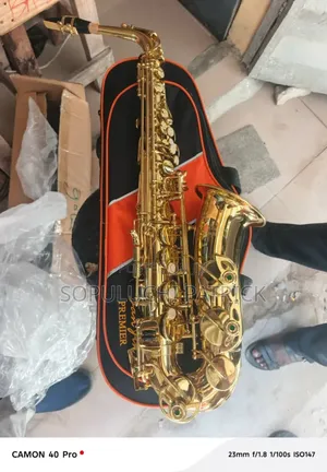 Saxophone Professional